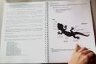 Buch PAROEDURA PICTA Großkopfgeckos mit einzigartigen Fakten
